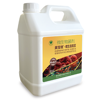 未标题-1 未标题-1